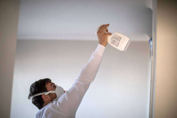 Best Office Mold Removal Services  in Loves Park, IL